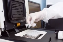 Genome Editing