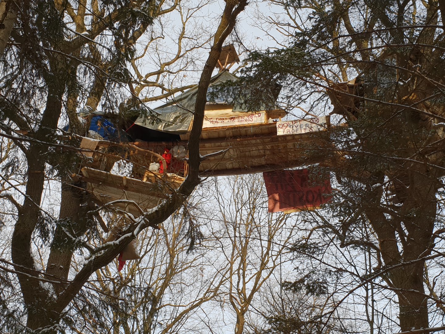 Hambacher_Forst_660x332